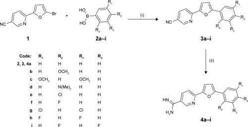 Figure 1 Synthesis scheme for the new furanylnicotinamidine derivatives.