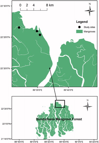 Figure 1. Geographic location of the study sites of the Sundarbans mangrove forest, Bangladesh from which litterfall data were collected.