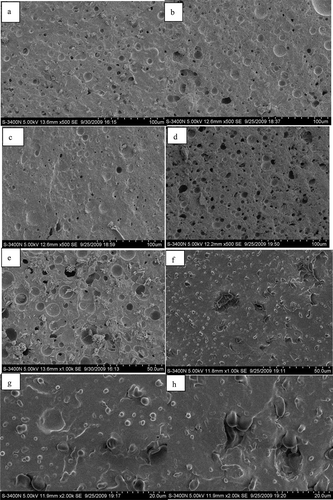 FIGURE 4 Scanning electron microscopic image of the imitation Mozzarella cheese control (a, e), containing inulin; (b: 2.4%, c: 7.2%, d: 12%) or RS (f: 12%, g: 12%, h: 7.2%) at 500, 1000, 2000× magniﬁcation.