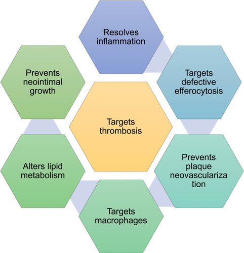 Figure 8 Several potential targets for the nanomedicines in the treatment of cardiovascular diseases.