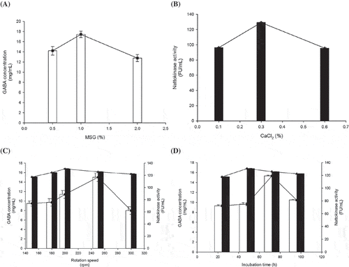 Figure 2. The effect of various culture conditions on the GABA and nattokinase productivity of B. subtilis strain B060. Tested factors included (A) MSG concentration; (B) CaCl2 concentration; (C) rotation speed; and (D) incubation time. Symbols: (□) GABA content; (■) nattokinase. Values are the mean ± SD of three independent experiments.Figura 2. Efecto de varias condiciones de cultivo en la productividad de GABA y de nattokinasa de B. subtilis cepa B060. Los factores probados incluyeron (A) concentración de MSG; (B) concentración de CaCl2; (C) velocidad de rotación; y (D) tiempo de incubación. Símbolos: (□) contenido de GABA; (■) nattokinasa. Los valores representan el medio ±DE de los tres experimentos independientes.