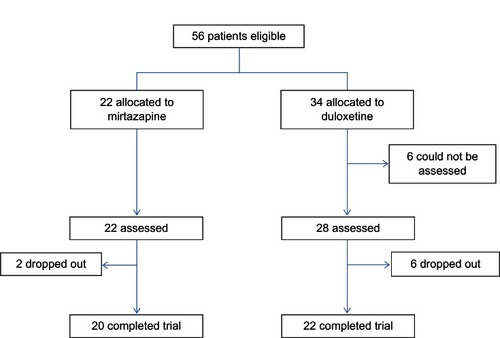 Figure 1 Patients disposition.