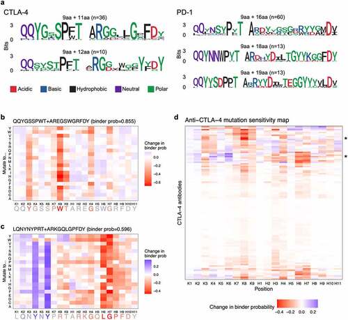 Figure 3. (a) Figures showing amino acids present across CDR3K + CDR3H peptides for the most representative binder sequences for CTLA-4 and PD-1. CDR3K amino acids are generally shared across peptides whereas CDR3H sequences have many more variable amino acids. (b) Heatmap showing in silico showing change in predicted binder probability, relative to the original sequence’s binder probability, when an example CDR3K + CDR3H sequence is mutated to all possible amino acids. The figure shows a mix of mutation probabilities, with five amino acid positions particularly disruptive to binding when mutated. (c) Heatmap showing in silico showing change in predicted binder probability, relative to the original sequence’s binder probability, when an example CDR3K + CDR3H sequence is mutated to all possible amino acids. The figure shows a mix of mutation probabilities, with two amino acid positions particularly disruptive to binding when mutated and two amino acid positions particularly beneficial to binding when mutated. (d) Heatmap showing mutation sensitivity for a total of 108 anti-CTLA-4 antibody sequences (9 CDR3K residues + 11 CDR3H residues). The heatmap shows a mix of mutation probabilities, with no particular pattern across the residues or sequences.