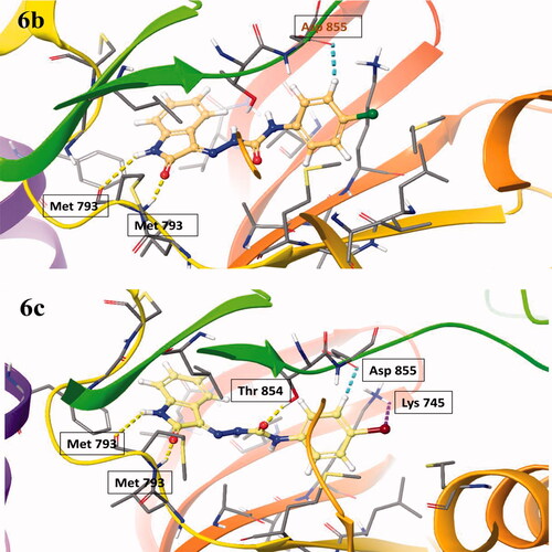 Figure 5. The 3D interaction of the compounds, 6b and 6c within the active site of EGFR.