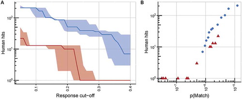 Figure 6. Further analysis of peptide X-scan data confirming the superior specificity of the c796 MAGE-A10-specific TCR over c756.(A) An illustration of the superior specificity of TCR c796 over c756, at any response cut-off value (defined as the fraction of the response to the index peptide at its EC90 concentration (10−7.5 M) at which a substitution is considered to be tolerated by the TCR). Numbers of unique human peptide matches, which conform to the consensus motif based on peptide X-scan data, are plotted against the response cut-off value, with solid lines representing the median number of matches derived from data from triplicate wells, and shaded areas representing the range between the lowest and highest numbers of matches from these wells. TCR c796 is shown in red, c756 in blue. (B) Motifs derived for TCR c796 identify fewer human nonamers than those for c756, at any value of p(Match) (defined as the naïve probability of identifying matching sequences within the proteome). Points represent numbers of unique human peptide matches to which the two final TCR candidates may show cross-reactivity, plotted against p(Match) values; c796 is shown as red triangles, and c756 as blue circles.