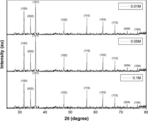 Figure 5 XRD pattern of 0.01M, 0.05M, and 0.1M synthesized ZnO NPs.Abbreviations: XRD, X-ray diffraction; ZnO NPs, zinc oxide nanoparticles.