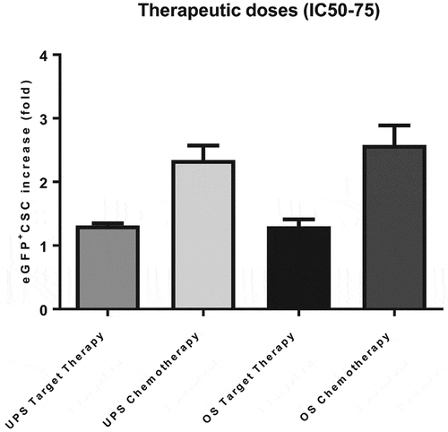 Figure 3. Sarcoma CSC are relatively resistant to chemotherapy and molecular targeted drugs. Therapeutic doses of doxorubicin significantly enhanced the residual rates of sCSC (visualized as eGFP+) in both UPS (n = 29) and OS (n = 16), supporting the hypothesis of their relative chemo-resistance. Similar result, but less intense were observed following treatment with targeted drugs pazopanib (UPS, n = 24) and sorafenib (OS, n = 15). Cumulative data (mean fold ± SEM) of eGFP+sCSC enrichment in UPS and OS following treatments are reported in the figure