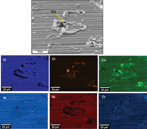 Figure 10. EDS map of the top surface of salted C-ring exposed in air for 50 hours.