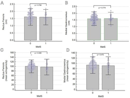 Figure 4 Univariate comparisons of the thickness of the rectus femoris (A) and medial gastrocnemius (B) muscles and mean echogenicity of the rectus femoris (C) and medial grastrocnemius (D) muscles between participants with and without metabolic syndrome (MetS). The columns labelled 0 indicate those without MetS, whereas the column labelled 1 indicate those with MetS.