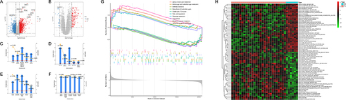 Figure 2 Identification of DEGs and functional enrichment analysis in GSE78097. (A and B) Volcano map of DEGs for GSE78097 and GSE28829. Red represents up-regulated differential genes, grey represents no significant difference, and blue represents down-regulated differential genes. (C–F) Column chart of GO functional and KEGG pathway analysis of DEGs in GSE78097. (G) The top five up and down-regulated signaling pathways of GSEA in GSE78097. (H) Heatmap showing the GSVA scores of potential pathways and biological processes in GSE78097.