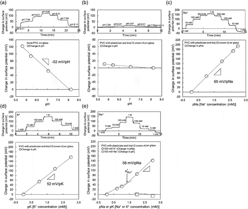 Figure 2. Changes in surface potential (ΔVout) at the gate and calibration curve of Na+-sensitive PVC-gate TFT on a glass substrate. (a) pH response of Ta2O5-gate ISTFT. (b) pH response of Na+-sensitive PVC-gate TFT. (c) pNa response of Na+-sensitive PVC-gate TFT. (d) pK response of Na+-sensitive PVC-gate TFT. (e) pNa response of Na+-sensitive PVC-gate TFT in a buffer with 100 mM K+ and pK response of the device in a buffer with 100 mM Na+. In (a) and (b), the surface potentials at pH 8.11 were offset to be zero. In (c), the surface potential at 1 mM Na+ was offset to be zero. In (d), the surface potential at 1 mM K+ was offset to be zero. In (e), the surface potentials at 1 mM Na+ and 100 mM K+ were offset to be zero.