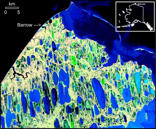 FIGURE 1. Landsat-7+ image from 30 August 2000 for Barrow region