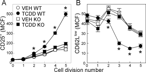 FIG. 7 Enhanced up-regulation of CD25 and down-regulation of CD62L is correlated with cell division and is dependent on activation of AhR within the donor T-cells. F1 mice were dosed with vehicle or TCDD one day before the injection of CFSE-labeled AhR-WT or AhR-KO donor T-cells. On Day 2, donor CD8+ cells were analyzed for cell division and the mean channel fluorescence (MCF) of CD25 (A) and CD62Llow (B) was examined in each cell division. Data shown are representative of 4 independent experiments; n = 4 mice per group. *p < 0.05, compared to VEH WT.