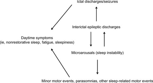 Figure 1 The vicious loop of sleep-related epileptic discharges and microarousals.
