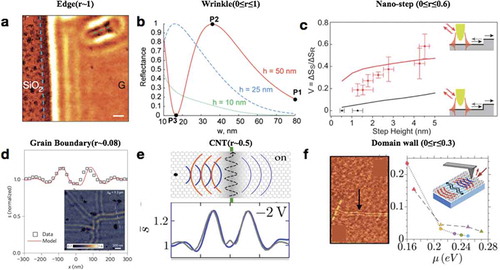 Figure 11. Nano-reflectors for graphene plasmons. (a) Totally reflected plasmons at graphene edges [Citation50]. The incident frequency is 892 cm−1. (b) Calculated reflectance of graphene plasmons at a sharp Gaussian-shaped wrinkle as a function of wrinkle half-width w, for different wrinkle heights, h [Citation97]. The P1, P2, P3 indicate large transmission, total reflection and total transmission, respectively. The incident wavelength is 10 μm. c) Experimental (dispersed symbols) and theoretical (solid lines) plasmonic reflectance as a function of the height of nano-step [Citation98]. Red and black solid lines represent disconnected and continuous graphene at the step, respectively. (d) Plasmonic reflection at graphene grain boundaries [Citation99]. The experimental (black squares) and modeled (red curve) twin fringe profiles are extracted from near-field images with the incident wavelength at 11.3 μm, as shown in inset. (e) Man-made tunable carbon nanotube (CNT) reflectors for graphene plasmons [Citation100]. Upper panel: Schematic of CNT-reflector. Bottom panel: the experimental (blue line) and theoretical (gray line) near-field amplitude along the line perpendicular to the CNT with gate-voltage of −2 V. (f) Plasmonic reflectance at domain walls in bilayer graphene [Citation101]. Left panel: plasmonic interference patterns around the domain walls (black arrow). Right panel: the experimentally extracted plasmonic reflectance at the domain walls in bilayer graphene. (a) Reproduced with permission [Citation50]. Copyright 2012, Nature Publishing Group. (b) Reproduced with permission [Citation97]. Copyright 2017, American Chemical Society. (c) Reproduced with permission [Citation98]. Copyright 2013, American Chemical Society. (d) Reproduced with permission [Citation99]. Copyright 2013, Nature Publishing Group. (e) Reproduced with permission [Citation100]. Copyright 2016, American Physical Society. (f) Reproduced with permission [Citation101]. Copyright 2017, American Chemical Society.