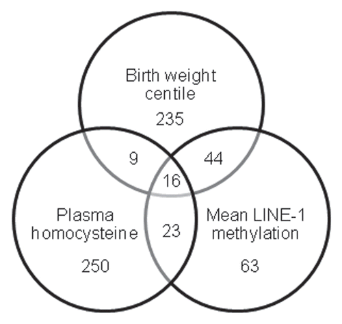 Figure 3 Venn diagram showing number of autosomal CpG sites significantly associated with each of the three parameters across the 12 samples; birth weight centile, plasma homocysteine concentration and mean LINE-1 methylation.