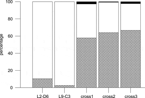 Fig. 15. Percentage distribution of single cells (grids), cells in chains (white) and sexual stages (black) in monoclonal parental strains (L2-D6 and L9-C3) of Fragilariopsis kerguelensis and in three replicate crosses on day 7 after inoculation.