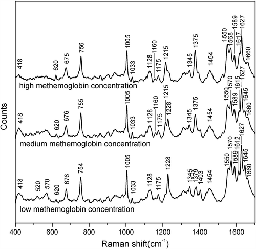 Figure 1. Representative 785-nm spectra after baseline correction and smoothing for low, medium, and high methemoglobin concentrations extracted from the oxidation experiment with different volumes of 10% potassium ferricyanide (power at the sample, 10 mW).