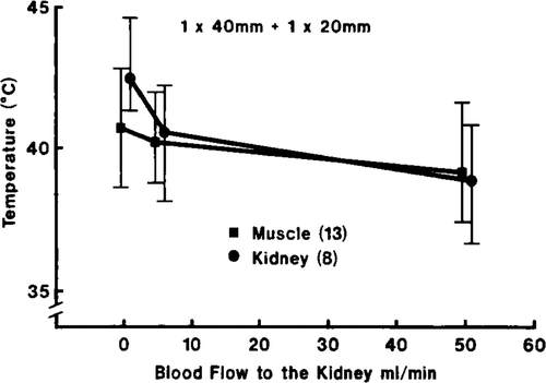 Figure 11. The average (symbol), maximum (top of bar) and the minimum (bottom of bar) measured temperatures at various positions in the muscle and kidney as a function of the blood flow to the kidney (34 g) during two external (40 mm) and one internal 20 mm scans with the four large transducers (FOC 5–8). The total acoustic power was 37 W. The number of thermocouples is given in parentheses.