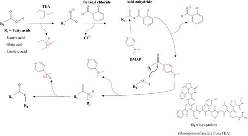 Figure 1 Schematic diagram for the hydroxyl group targeted LEU-oleic acid conjugate (LOC).