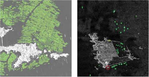 Figure 4. Ship and floating raft detection results (Fan et al. Citation2017a; Liu et al. Citation2017).