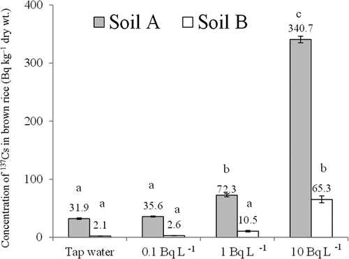 Figure 1 Concentration of radiocesium (137Cs) in brown rice (Oryza sativa L. cv. Hitomebore) irrigated with water containing the indicated concentrations of 137Cs. Values are means ± SEM (standard error of the mean) (n = 3). Columns with the same letter are not significantly different at P < 0.05 (Tukey’s multiple range test).