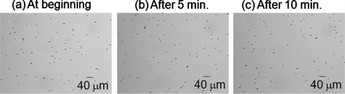 FIG. 13 Optical photographs of particles collected on the slides (each slide collected ejected particles for 10 seconds) after the ejected droplets were dried in the drying column. Droplets were ejected continuously for more than 10 minutes without observable difference in particles concentration through time.