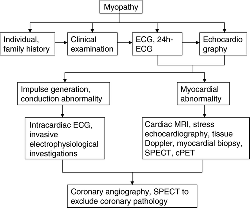 Figure 1.  Flow-chart according to which patients with myopathies can be assessed for cardiac involvement