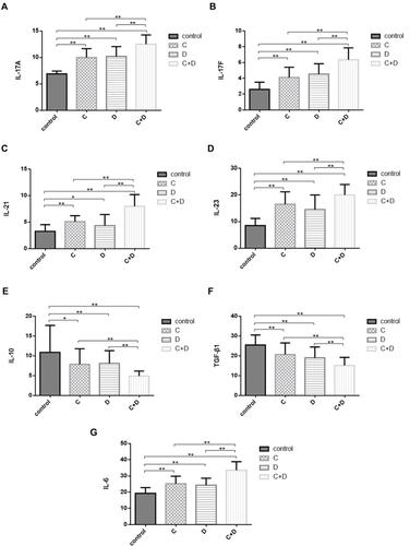 Figure 5 Disordered homeostasis of serum IL-17A, IL-17F, IL-21, IL-23, IL-10, TGF-β1 and IL-6 in COPD, T2DM and COPD combined with T2DM patients. Levels of inflammatory cytokines were quantified by ELISA in the 4 groups (A) IL-17A, (B) IL-17F, (C) IL-21, (D) IL-23, (E) IL-10, (F) TGF-β1, (G) IL-6. The data are represented as the mean ± SD; a value of *P <0.05 or **P <0.01 was considered statistically significant. COPD (C group), T2DM (D group) and COPD combined with T2DM (C+D group).
