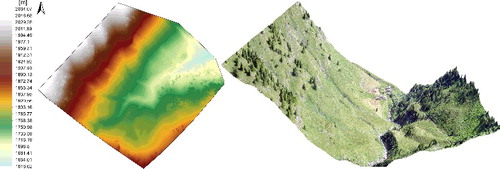 Figure 4. RGB orthophoto extracted using PhotoScan.