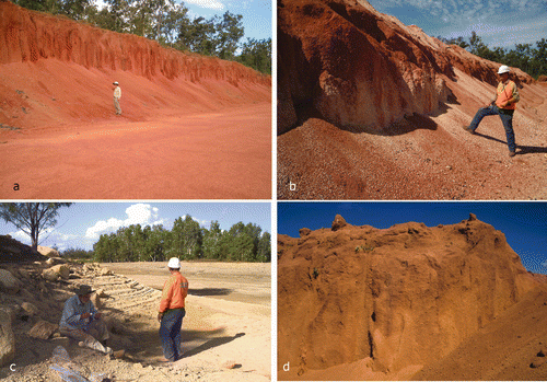 Figure 1 (a) High eastern wall (about 6 m) in the Ash pit at Andoom in the Rio Tinto Aluminium mine. Note the ready collapse of the wall and accumulation of loose pisoliths at the base of the face. (b) Mine face in the Emperor pit, East Weipa showing loose pisolith accumulation and variegated colour associated with tree roots. (c) Jewfish pit, East Weipa showing a much paler colour than (a) and (b). The horizontal benches represent former levels of water that fills this mine pit during the wet season. (d) High-Fe bauxite of the Jacaranda pit, Andoom.
