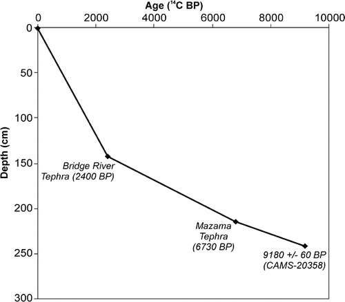 FIGURE 4. Age depth curve based on linear interpolation between points of known age in the core LBSL2 from Lower Burstall Lake. Note that the thickness of the Mazama tephra was removed from the calculations