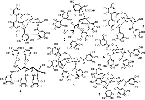 Figure 1. Structures of the isolated compounds of M. styphelioides.