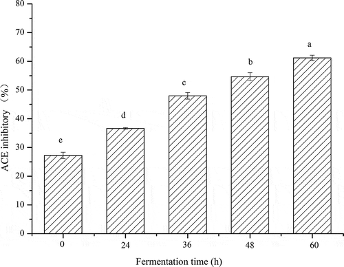 Figure 2. In vitro ACE-inhibitory activity of fermented okara at different fermentation periods. Means with different lower case letters (a, b, c, d, and e) indicate significant difference (p < 0.05) among the different fermentation periods of okara.Figura 2. Actividad inhibitoria ACE in vitro de okara fermentada en diferentes periodos de fermentación. Los promedios con distintas letras minúsculas (a, b, c, d y e) indican diferencias significativas (p < 0,05) entre los diferentes periodos de fermentación de la okara.