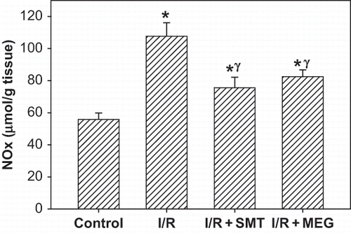 Figure 4. Effect of renal ischemia reperfusion (I/R), SMT, and MEG on tissue nitrite/nitrate (NOx) level. All values expressed as mean SEM. *statistically significant from control (p <0.05), γ = statistically significant from I/R group (p <0.05), χ = statistically significant from I/R+SMT (p <0.05).