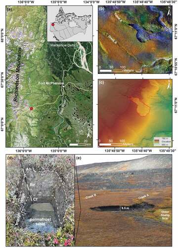 Figure 1. (a) Location of the study site in the transition zone between the Richardson Mountains and the Peel Plateau indicated by the red dot. The cloud-free Landsat-8 RGB true-color image composite was provided by Nill et al. (Citation2019). (b), (c) High-resolution unmanned aerial vehicle (UAV)-based orthoimage and digital elevation model. The area of erosion by the slump is surrounded by the red line. The white dots in (c) mark the electrode positions of the electrical resistivity tomography (ERT) measurements. (d) A soil profile (image curtesy: L. Nill) and (e) a ground-based photo of the retrogressive thaw slumps (RTS) and its surrounding taken on 4 September 2019. Both the active slump in the central part of the image and the stabilized and already vegetation-covered slump in the right part of the image are visible. The position of (d) is marked in (e).