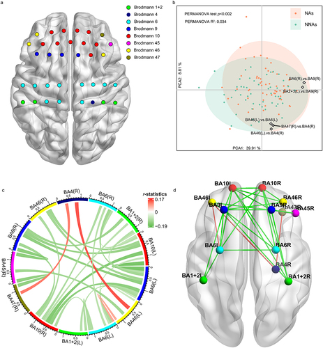 Figure 4. Brain functional connectivity associated with nonagenarians.