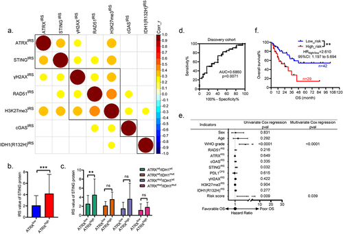 Figure 3. ATRX is positively correlated with STING to drive the relapse of HGG with wild-type ATRX and IDH1. (a). The matrix showing the mutual correlations among indicated proteins in the overall cohort. Blank grids mean p > 0.05, while colored grids mean p < 0.05. Corr_r, correlation coefficient. (b). The bar plots showing the different expression of STING in tissues with ATRXlow or ATRXhigh. The IRS values are shown as mean ± STD. ***p < 0.001. (c). The bar plots showing the differential expression of STING in ATRX and IDH1 genomically stratified subgroups with ATRXhigh and ATRXlow. The IRS values are shown as mean ± STD. **p < 0.01. (d). The ROC curve evaluating the predictive capability of relapse risk scores in the discovery cohort. AUC = 0.6860, **p < 0.01. (e). The forest plot showing the univariate and multivariate cox regression analysis used to identify independent prognostic markers in the discovery cohort. (f). The KM survival curves showing the different OS rates between patients with low_risk and high_risk scores in the discovery cohort. **p < 0.01.