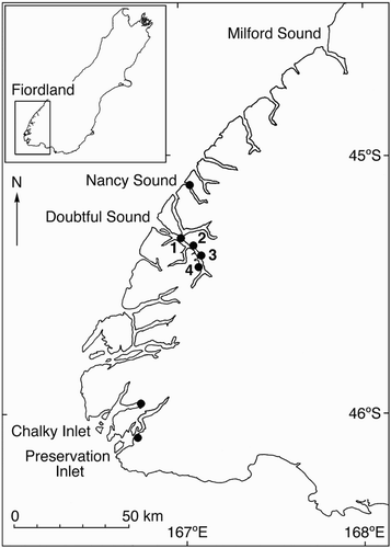 Figure 1 Fiordland region of South Island, New Zealand, showing collection locations for the snake star Astrobrachion constrictum. Doubtful Sound sites are: 1, Espinosa Point; 2, Tricky Cove; 3, Oz; 4, Crowded House.