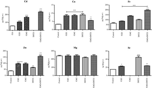 Figure 3. Representative graphs of metal content in liver of Wistar rats intact and administered Cd, DSF and a combination of both substances. *See the experimental conditions presented in the section Experimental design. Values are presented as means ± S.D. Labels of statistical significance for toxic metal Cd: compared with the Cd1 group (*) and compared with Cd42 subgroup (°). Labels of statistical significance for essential metals (Cu, Fe, Zn, Mg, Se): compared with the control group (*) and compared with Cd42 subgroup (°). Statistical significance was considered at: ∗p < 0.01, ∗∗p < 0.001, ∗∗∗p < 0.0001, °°p < 0.001 and °°°p < 0.0001. (A) Cd content (expressed as μg Cd/g liver tissue). (B) Cu content (expressed as μg Cu/g liver tissue). (C) Fe content (expressed as μg Fe/g liver tissue). (D) Zn content (expressed as μg Zn/g liver tissue). (E) Mg content (expressed as μg Mg/g liver tissue). (F) Se content (expressed as ng Se/g liver tissue).