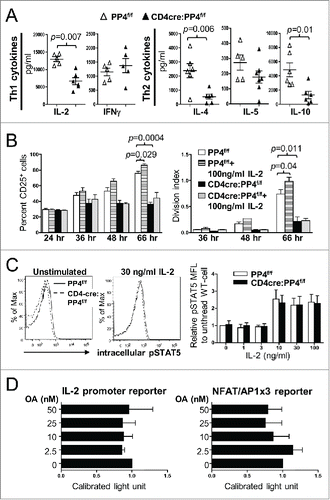 Figure 4. Reduced IL-2 production or signalings is not the primary cause for the hypo-proliferation of PP4-deficient T cells. (A) Day 3 culture supernatants from Fig. 3A were analyzed by multiplex assays for the secretion of various Th1/Th2 cytokines (n = 5–6). (B) MACS-purified, CFSE-loaded T cells were activated by sub-optimal 0.5 μg/ml plate-bound anti-CD3ε and anti-CD28 in the presence or absence of exogenous IL-2; this was then followed by the analyses of CD25 induction (left panel) or proliferation (right panel) on gated CD4 populations (n = 2–3). (C) MACS-purified T cells were activated by 1.6 μg/ml anti-CD3ε and anti-CD28 for 2 d, washed, and rested for 4 hr. Rested WT and CD4cre:PP4f/f cells were then treated with titrating doses of IL-2 and stained intracellularly for phospho-STAT5-Y694. Representative flow cytometry plots (left panels) and statistical analyses of the mean fluorescence levels (right panel) are shown (n = 2–4). (D) JTAg cells were transfected with the respective luciferase reporter plasmids and control tdTomato plasmid by electroporation; cells were stimulated 24 hr later with PMA/ionomycin and various doses of OA for 6 hr prior to luciferase activity measurement, as well as FACS analyses for assessing the transfection efficiency by tdTomato fluorescence. Luciferase activity after compensating for transfection efficiency and normalized to the no-OA samples (Calibrated light unit) are shown (n = 3). See Supplemental Figure S1A and -E for flow cytometry gating strategies.