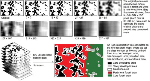 Figure 3. A hypothesized landscape (spatial resolution, 30 m) was convoluted by nine different filters, ranging from 5 × 5 to 537 × 537 pixels, and these such nine filtered maps were then stacked to produce a multi-band layer stack image and to then run an ISO classification with user-defined cluster numbers (five clusters here from c1 to c5).