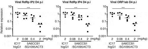 Figure 7. Therapeutic efficacy of treatment with 5A6CCS1-SG1095ACT3 in a live SARS-CoV-2 virus inoculated Hamster model. Lung viral load was determined by qPCR of the SARS-CoV-2 RNA dependent RNA polymerase (RdRp) and ORF1ab genes. Data are presented as geometric mean, n = 5 per group. *** p < .001, 1-way ANOVA with Dunnett’s multiple comparison test against control group.