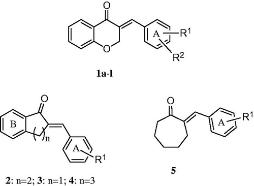 Figure 1. The general structure of the compounds in series 1–5. The nature of the R1 and R2 groups are presented in Tables 1 and 3.