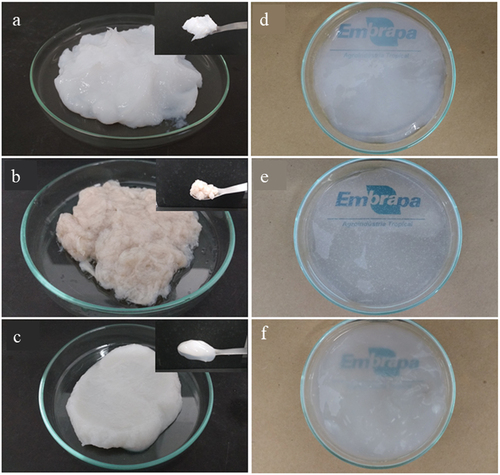 Figure 1. (A) Bacterial cellulose from HS medium (BC) deconstructed paste, (b) bacterial cellulose from cashew juice permeated (BCP) deconstructed paste, and (c) eucalyptus nanocellulose paste. Nanofibrillated oxidized BC (d), BCP (e), and EC (f) hydrogels.