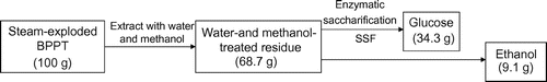 Fig. 7. Amounts of glucose and ethanol produced from steam-exploded BPPT.