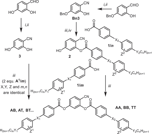 Scheme 3. Synthesis of the 4-cyanoresorcinol derived bent-core mesogens. Reagents and conditions: i: (1) H2NOH, (2) Ac2O; ii: NaOH/H2O; iii: (1) 1/n or 1/m, SOCl2, 80°C, 2 hrs, (2) removal of excess SOCl2, (3) 2/n or 3 (0.5 equ), DCM, pyridine, 50°C, 2 hrs.; iv: H2/Pd/C; for the structure and abbreviations of the target compounds (see Scheme 2).