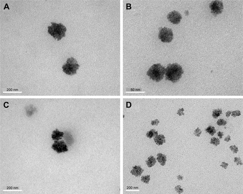 Figure 4 Transmission electron microscopy images of (A) ATRA-loaded ME 1, (B) ATRA-loaded ME 2, (C) ATRA-loaded ME 3 and (D) ATRA-loaded ME 4. Magnification ×200.Abbreviations: ATRA, all-trans retinoic acid; ME, microemulsion.