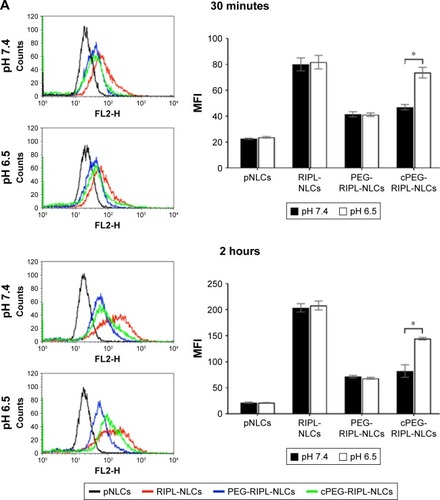 Figure 5 Quantitative and qualitative analysis of the cellular uptake of DiI-loaded NLC formulations under pH 6.5 and pH 7.4 for different time.Notes: Concentration of DiI was 100 ng/mL. (A) Flow cytometry histogram showing the treatment effect: cells treated with pNLCs (black), RIPL-NLCs (red), PEG-RIPL-NLCs (blue), and cPEG-RIPL-NLCs (green). Data represent the means±SD (n=3). Statistical analysis was performed using a Student’s t-test (*P<0.05 between different pH treatments). (B) Confocal microscopy images of SKOV3 cells incubated with pNLCs, RIPL-NLCs, PEG-RIPL-NLCs, and cPEG-RIPL-NLCs at 37°C for 30 minutes or 2 hours under pH 6.5 or 7.4. The nuclei were stained with DAPI for blue fluorescence and merged with bright field view and red fluorescence of DiI distributed in the cytoplasm. Scale bar represents 20 μm.Abbreviations: MFI, mean fluorescence intensity; DiI, 1,1′-dioctadecyl-3,3,3′,3′-tetramethylindocarbocyanine perchlorate; NLC, nanostructured lipid carrier; pNLCs, plain NLCs; RIPL-NLCs, RIPL peptide-conjugated NLCs; PEG-RIPL-NLCs, PEG-modified RIPL-NLCs; cPEG-RIPL-NLCs, cleavable PEG-modified RIPL-NLCs.