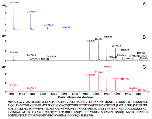Figure 1. Deconvoluted mass spectra of abatacept digested with IdeS and PNGase F (A), IdeS (B), IdeS and neuraminidase (C). Protein sequence of abatacept is showed. Amino acid mutations, N-linked glycosylation sites and potential O-linked glycosylation sites are highlighted in red, blue and underlined, respectively.